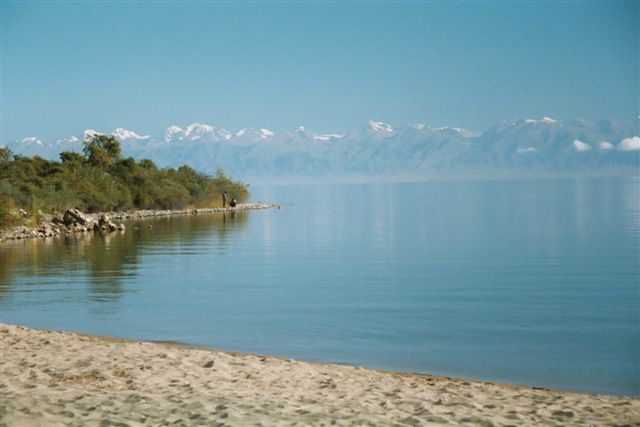 Academic counseling services Kyrgyzstan